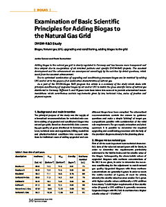 Examination of Basic Scientific Principles for Adding Biogas to the Natural Gas Grid - DVGW-R& Study