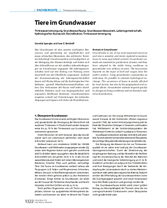 Tiere im Grundwasser