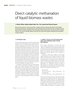 Direct catalytic methanation of liquid biomass wastes