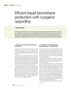Efficient liquid biomethane production with cryogenic upgrading