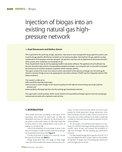 Injection of biogas into an existing natural gas high-pressure network