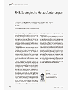 FNB „Strategische Herausforderungen Netzentwicklungsplan“