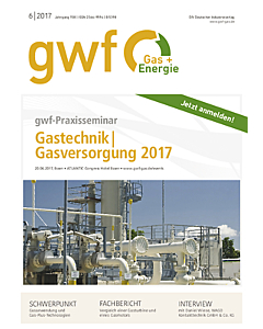 gwf - Gas+Energie - Ausgabe 06 2017
