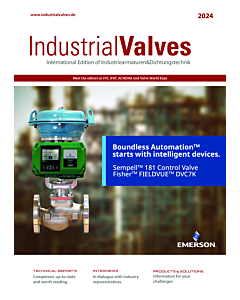 Industrial Valves - 2024