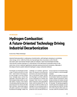 Hydrogen Combustion:  A Future-Oriented Technology Driving Industrial Decarbonization