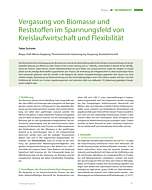 Vergasung von Biomasse und Reststoffen im Spannungsfeld von Kreislaufwirtschaft und Flexibilität