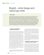 Biogrid – when biogas and natural gas meet