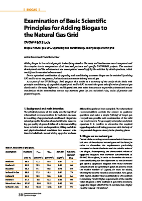 Examination of Basic Scientific Principles for Adding Biogas to the Natural Gas Grid - DVGW-R& Study